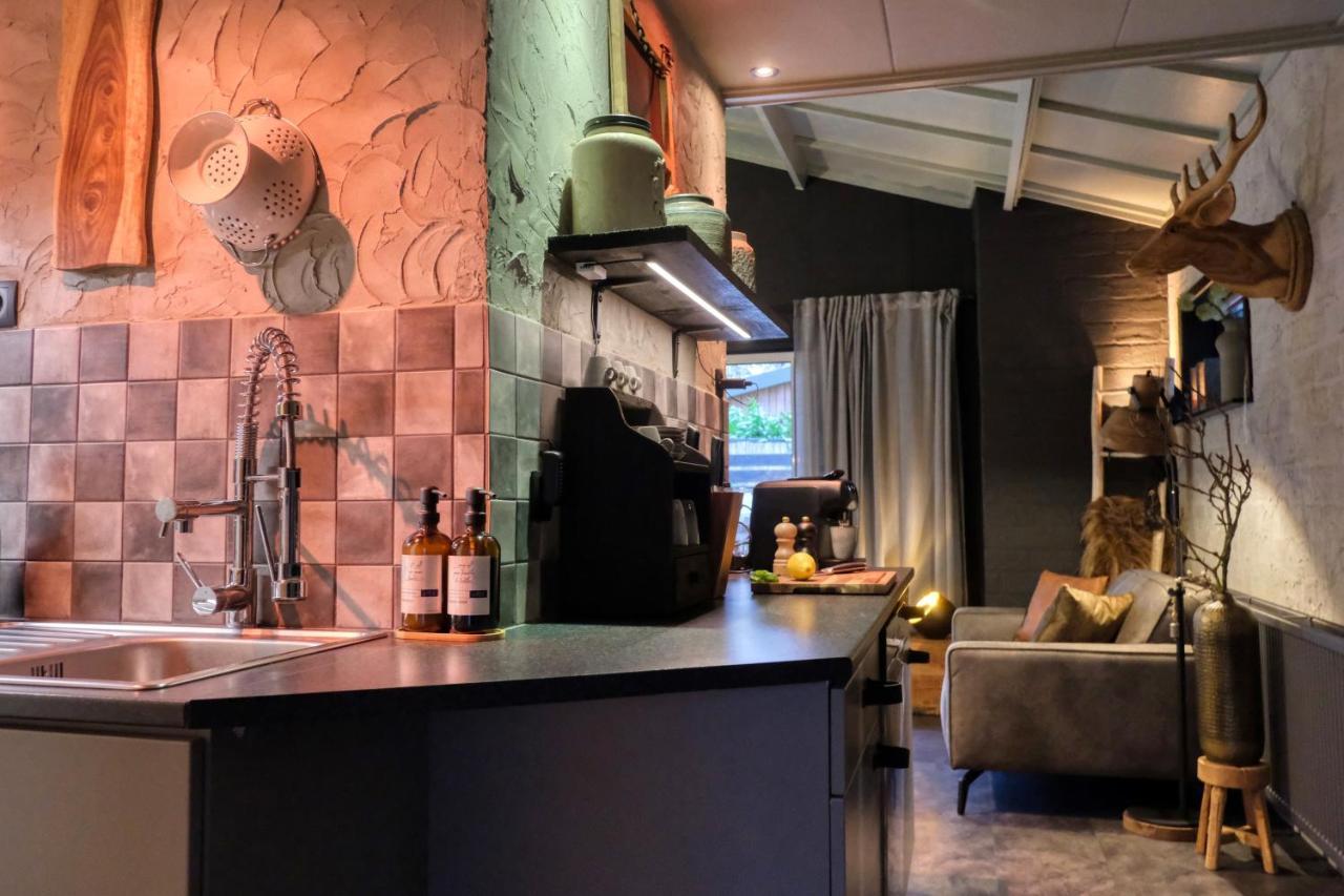 Lodge In Een Bosrijke Omgeving Met Hottub & Sauna Opt Rheezerveen Dış mekan fotoğraf