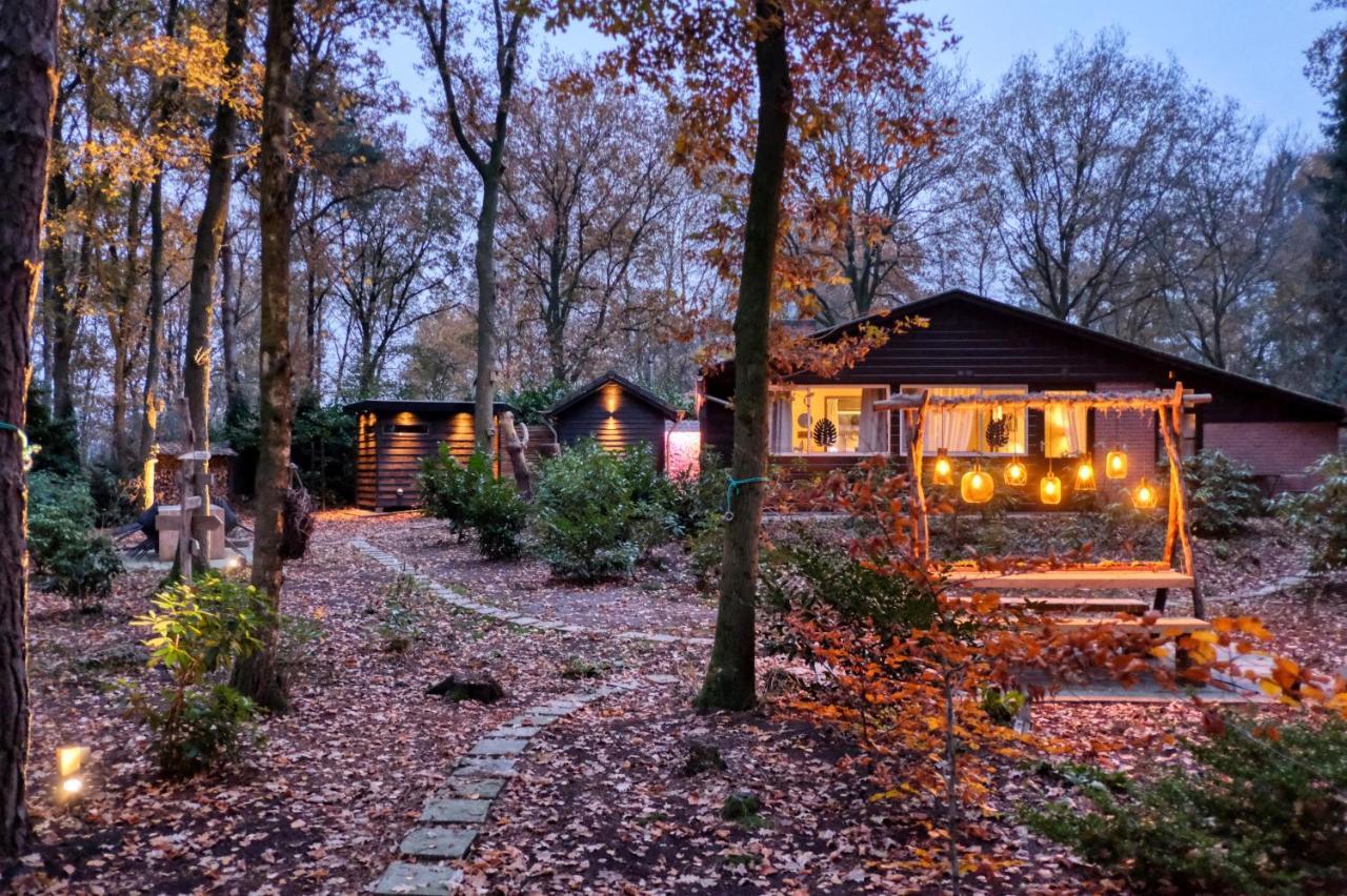 Lodge In Een Bosrijke Omgeving Met Hottub & Sauna Opt Rheezerveen Dış mekan fotoğraf