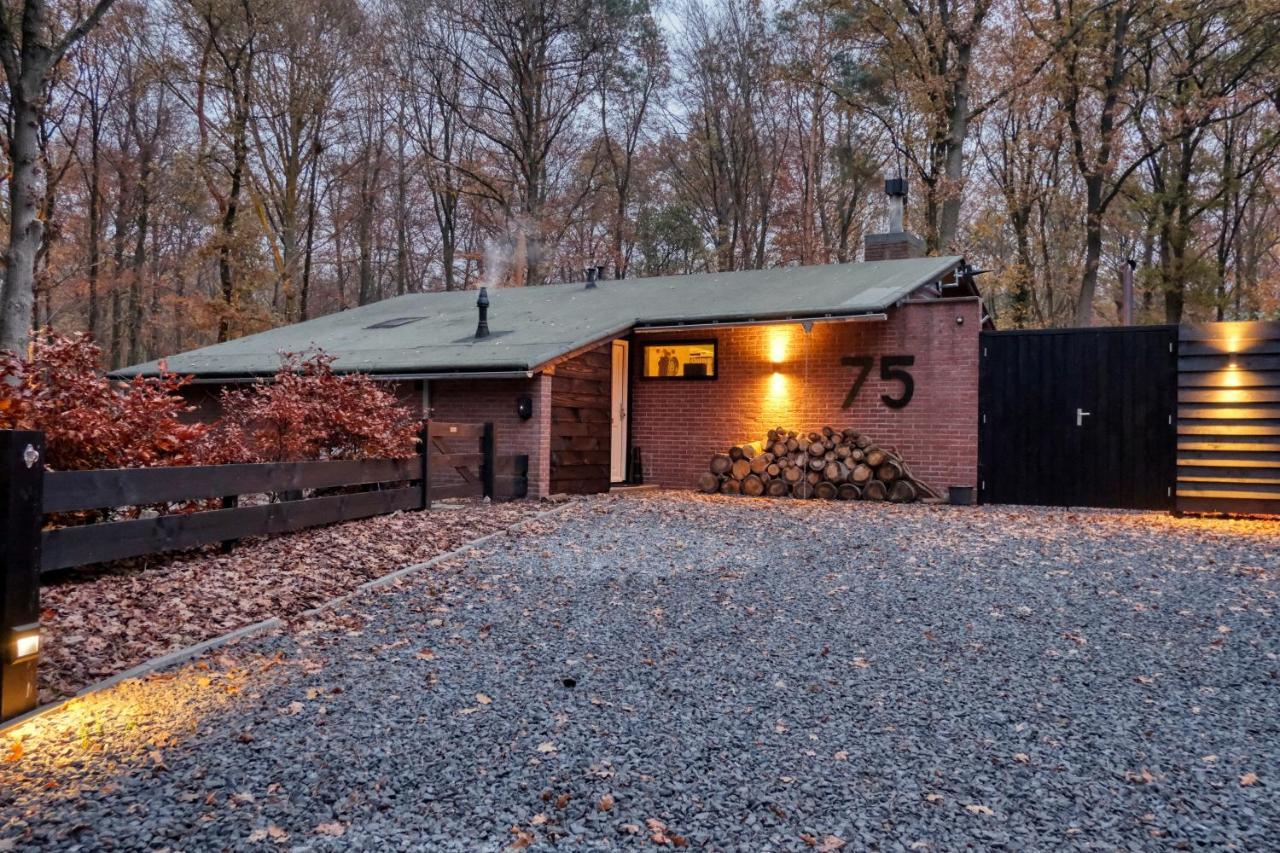 Lodge In Een Bosrijke Omgeving Met Hottub & Sauna Opt Rheezerveen Dış mekan fotoğraf