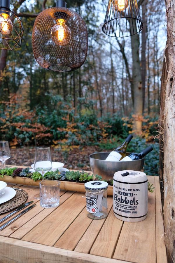 Lodge In Een Bosrijke Omgeving Met Hottub & Sauna Opt Rheezerveen Dış mekan fotoğraf